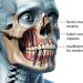 Zygomatic Implant Indications and Patient Selection Criteria